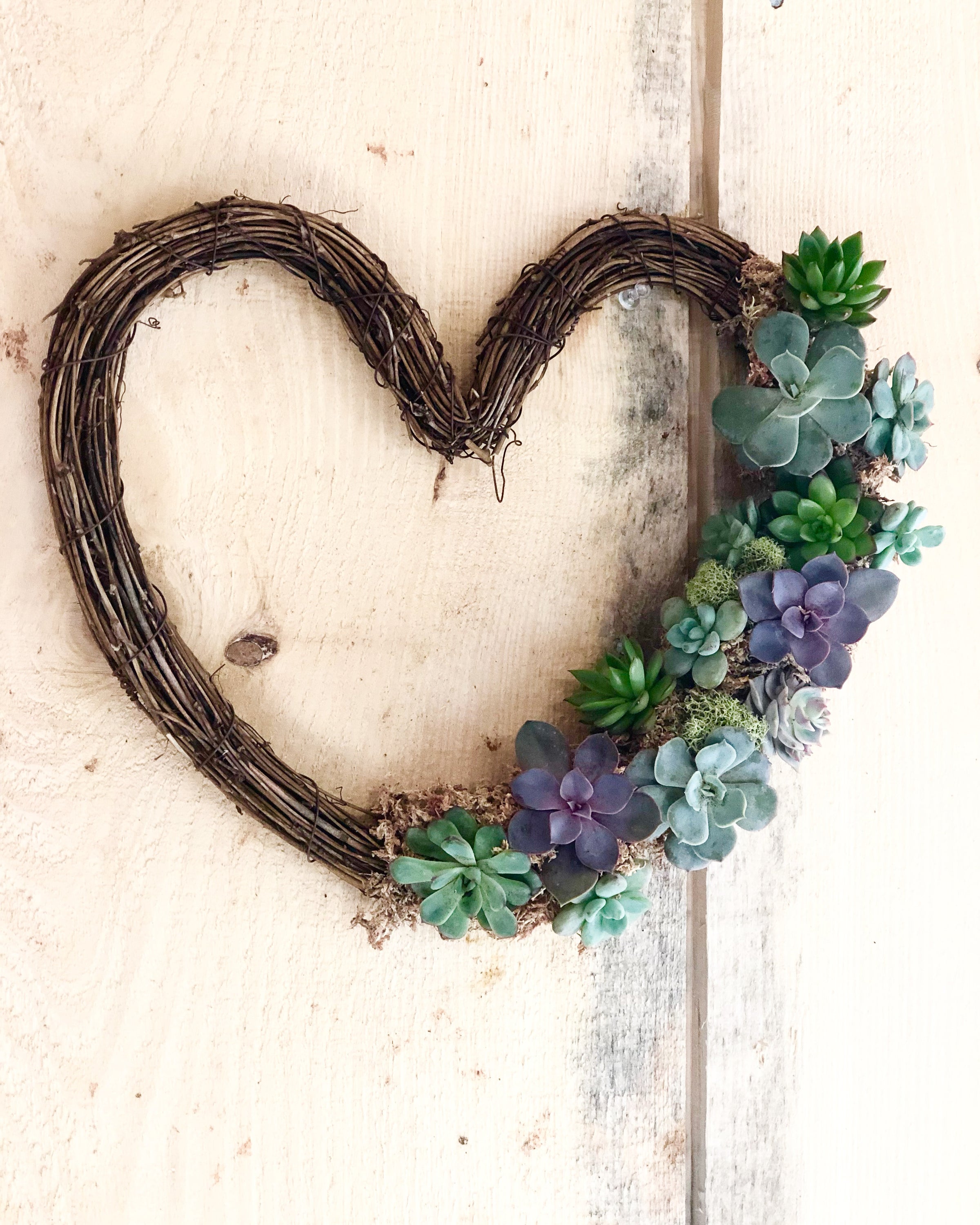 Heart Succulent Wreath | Living Wreath